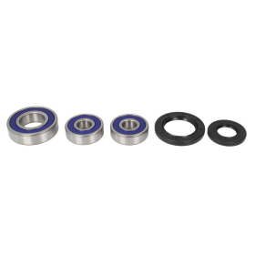 4Ride Galinio rato guolių kompl. YAMAHA FZ6 600 2009-2017