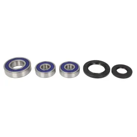 4Ride Rear wheel bearing kit YAMAHA FZ6 600 2009-2017