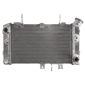 Radiator 4RIDE SUZUKI DL 650 2012-2021