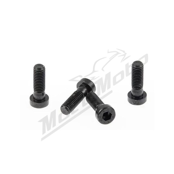 CULT WERK Fender Screws Harley Davidson 1130-1250cc 2007-2017 4pcs