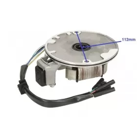 Stator ignition ATV 110 4T 