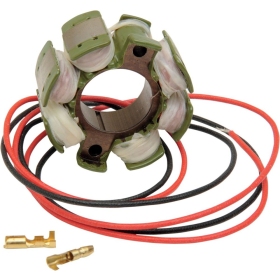 RICK'S MOTORSPORT ELECTRIC Stator Suzuki RM 125-250cc 87-93