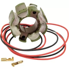 RICK'S MOTORSPORT ELECTRIC Stator Suzuki RM 125-250cc 87-93