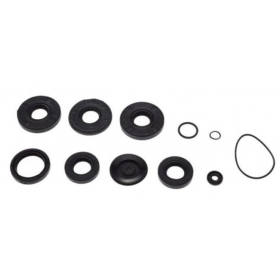 Engine oil seal kit VSK175 11pc