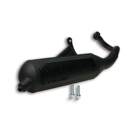Exhaust MALOSSI Wild Lion Gilera / Piaggio 50 95-15 2T