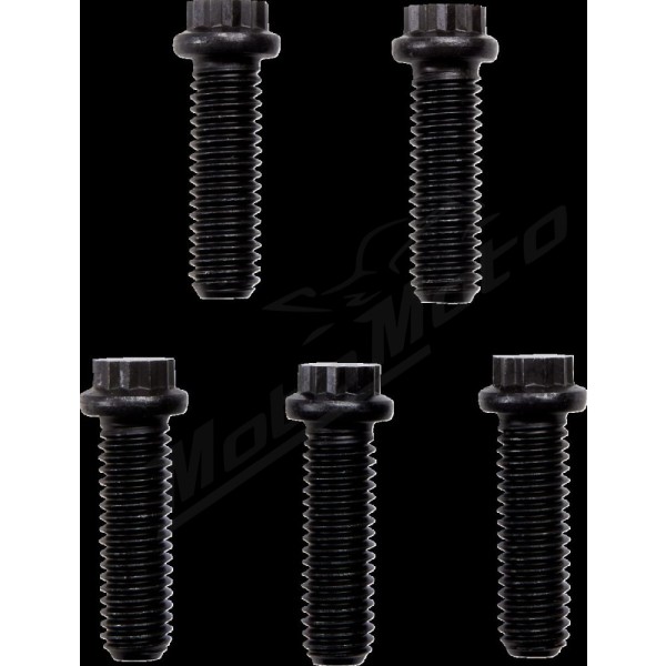 ALLOY ART Universal Cush Drive Harley Davidson Chain Conversion System 530 53T