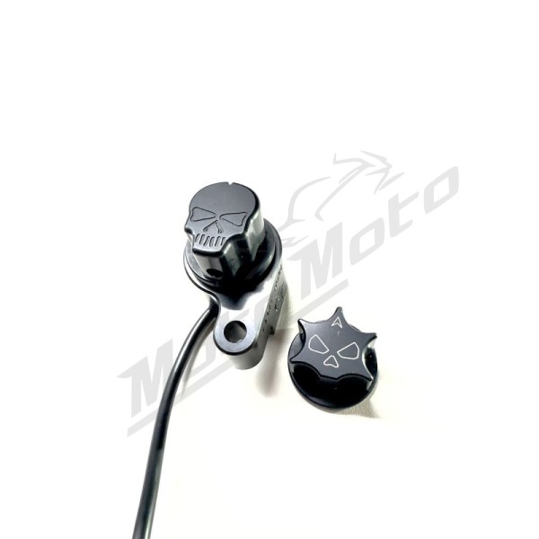 RBW SKULL RBW Skull Harley Davidson FLDE / FLFB / FLHC / FLHR / FLHTK / FLSL / FLTRU / FLTRXS / FXBR / FXSB / FXST 1750-1977 16-26