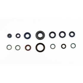 ATHENA Engine Oil Seal DUCATI MONSTER / SS / ST2 600-944 94-01