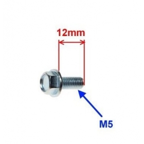 Bolt M5x0,8 (length 12mm)