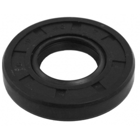 Oil seal 15x30x10 TC (double lip)