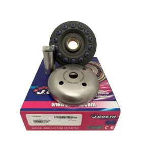 J. COSTA Variator Pro variatorius Honda NSS 250 08-12