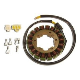 ELECTREX Stator Honda CBR 900 RR Fireblade 2000-2001