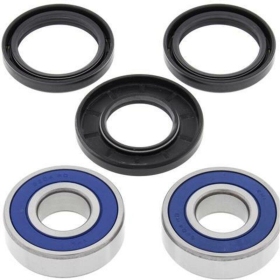 ALL BALLS priekinių ratų guolių rinkinys Triumph TIGER 800 11-20