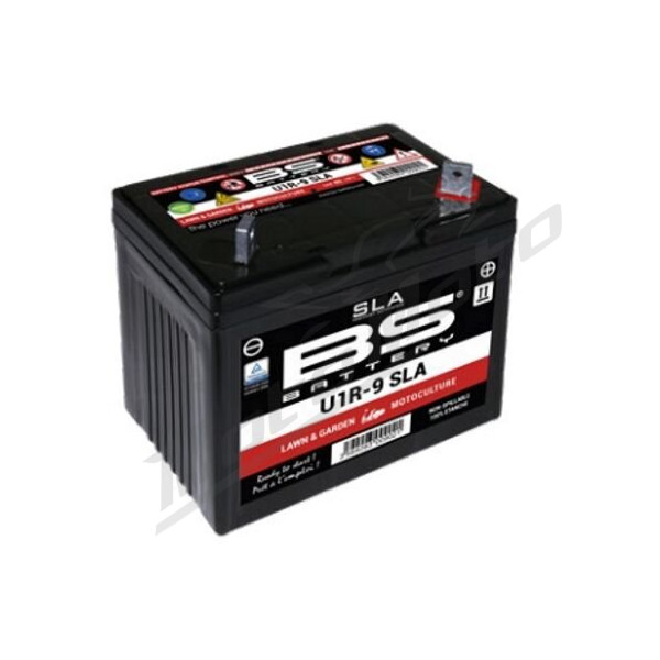 BS BATTERY SLA Factory-Activated AGM Maintenance-Free Batteries