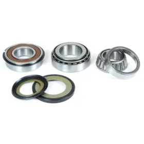 PROX Vairo kolonėlės guolių kompl. Triumph Daytona / Speed Triple / Sprint / Thunderbird 750-2300 91-13