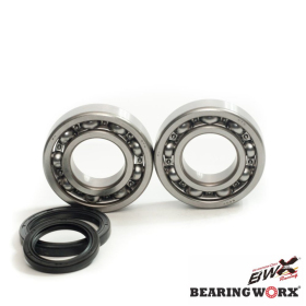 BEARING WORX Crankshaft bearings with sealers Beta RR 350-498 10-22