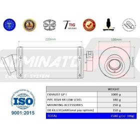 Exhaust silincer Dominator LOW LEVEL GP1 APRILIA RSV4 RR 2015-2016