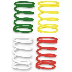 Variator spring MALOSSI MHR YAMAHA T-MAX 500-560cc 4T 