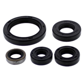 Winderosa (vertex) set of engine seals Kawasaki KLR 650 E 2018