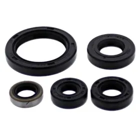Winderosa (vertex) set of engine seals Kawasaki KLR 650 E 2018