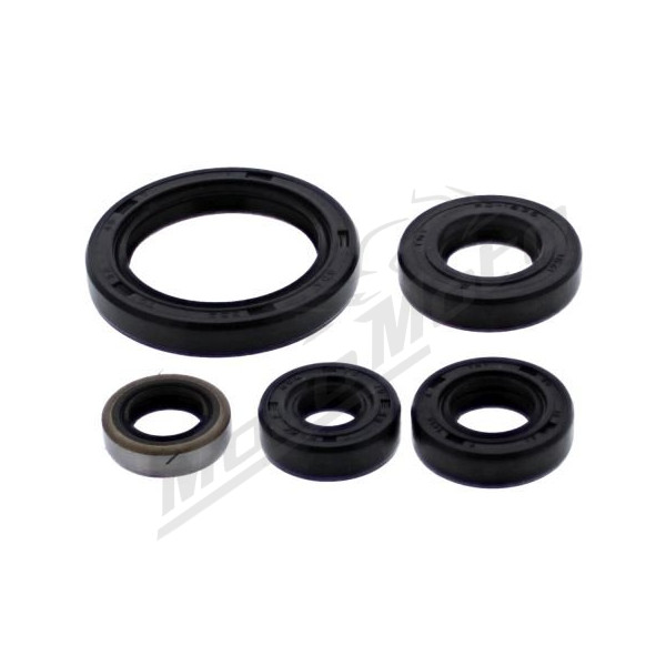 Winderosa (vertex) set of engine seals Kawasaki KLR 650 E 2018