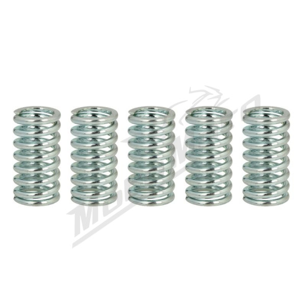 TRW Clutch springs set Suzuki VL 1500 98-09