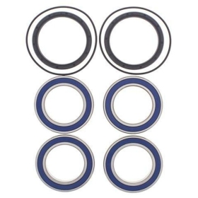 ALL BALLS Rear Wheel Bearing Kit Suzuki LT-R450 06-11