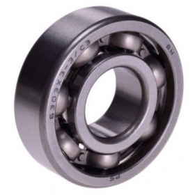 Bearing (open type) 17x42x13