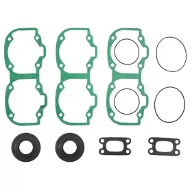 Sno-X Full set W/Oil seals 550 FC