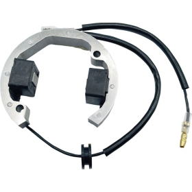 RICK'S MOTORSPORT ELECTRIC Stator Husqvarna / KTM 50cc 01-23