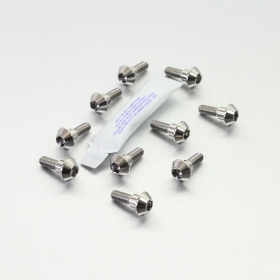 PRO BOLT Titanium Brake Rotor Mounting Bolt Kit Yamaha FZ / MT / XJ / XSR / XT / YZF 600-1200cc 02-25