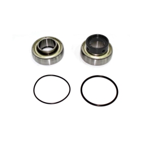 Sno-X Chain case bearing kit Arctic Cat Bearcat / Cheetah / Cougar / El Tigre / EXT / F / Jag / Mountain Cat / Panther / Wildacat / Z / ZL / ZR 340-1000 77-09
