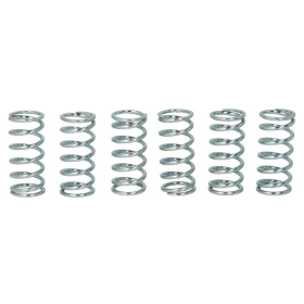 TRW Clutch springs set Kawasaki ZR / ZRX / ZX-9R 750-1200 95-06