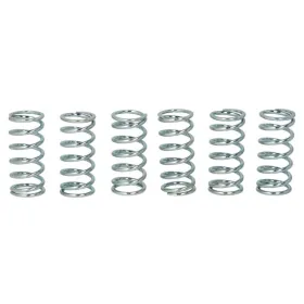 TRW Sankabos spyruoklių kompl. Kawasaki ZR / ZRX / ZX-9R 750-1200 95-06