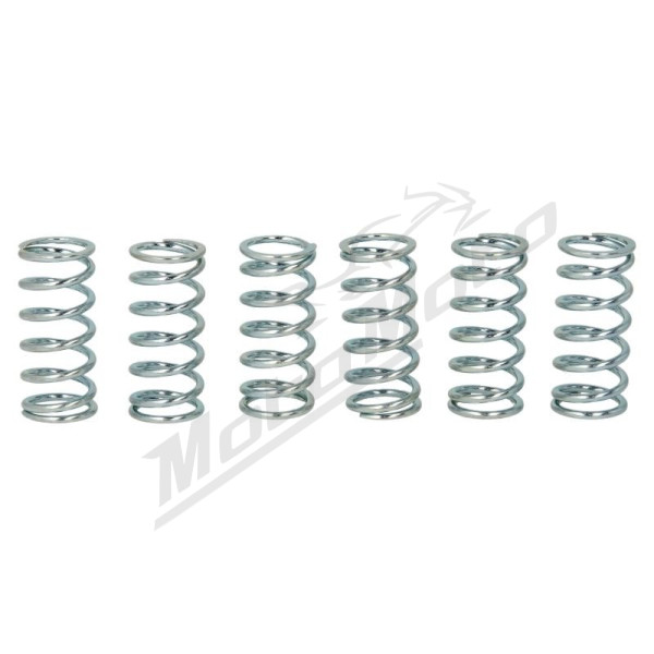TRW Clutch springs set Kawasaki ZR / ZRX / ZX-9R 750-1200 95-06