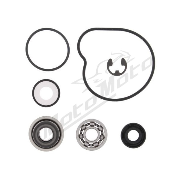Winderosa (vertex) Vandens pompos remonto kompl. Arctic Cat 550-700 09-17