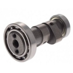 Camshaft ZS154FMI-2
