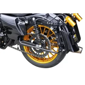 ARLEN NESS Žvaigdžių kompl. Harley Davidson FLH / FLHFB / FLHR / FLHRC 1584-1977cc 09-24