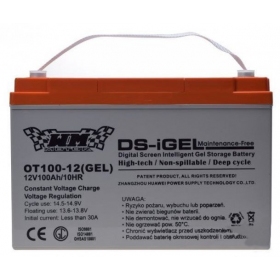 Battery OT100-12(DS) 12V / 100Ah