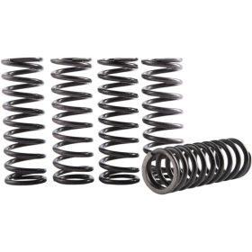 HINSON RACING Clutch Spring Kit Yamaha WR / YZ 450cc 23-26