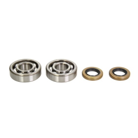 4Ride Crankshaft Bearing Kit Husqvarna / KTM 60-65cc 98-12