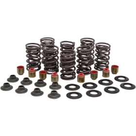 KIBBLEWHITE Valve Spring Kit Polaris Ranger / RZR 900-1000 13-22