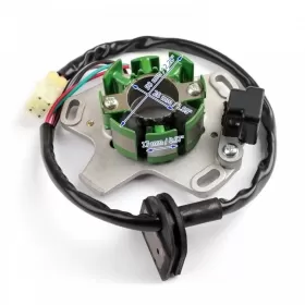 Stator ignition SUZUKI RM125 2002-2004