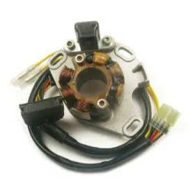 ELECTREX Stator SUZUKI RM 250 2002