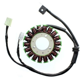 ELECTROSPORT Stator Triumph 675 06-12
