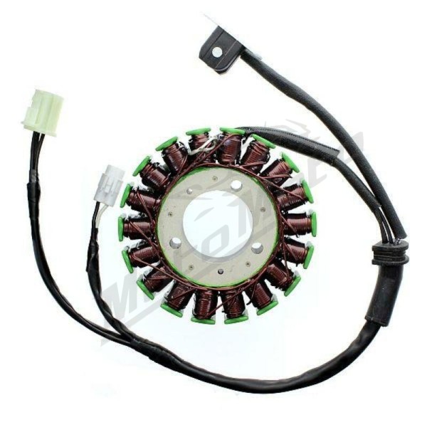 ELECTROSPORT generatorius Triumph 675 06-12