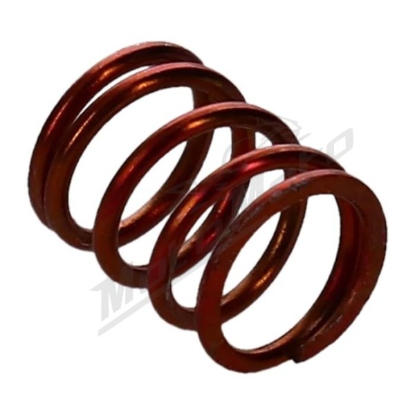 REKLUSE Clutch Adjustment Spring EXP Medium Red