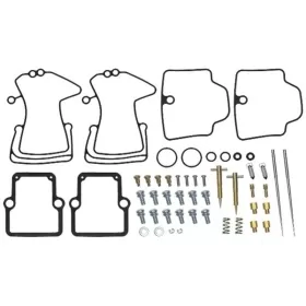 Sno-X Carburetor repair kit Ski-Doo