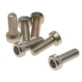 Bolts M6x1 (length 16,5mm) 6pcs