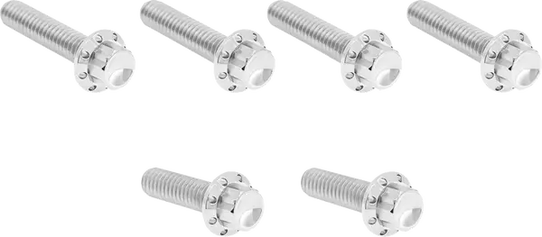 Arlen Ness Set Of Bolts For The Transmission Side Cover Chrome Harley Davidson FLD / FLDE 1450-1977cc 06-25